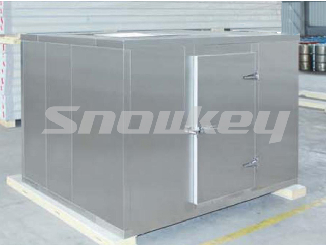 Common Ice Storage